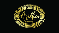 Avillion Infrastructure - Real Estate Developer Bangalore