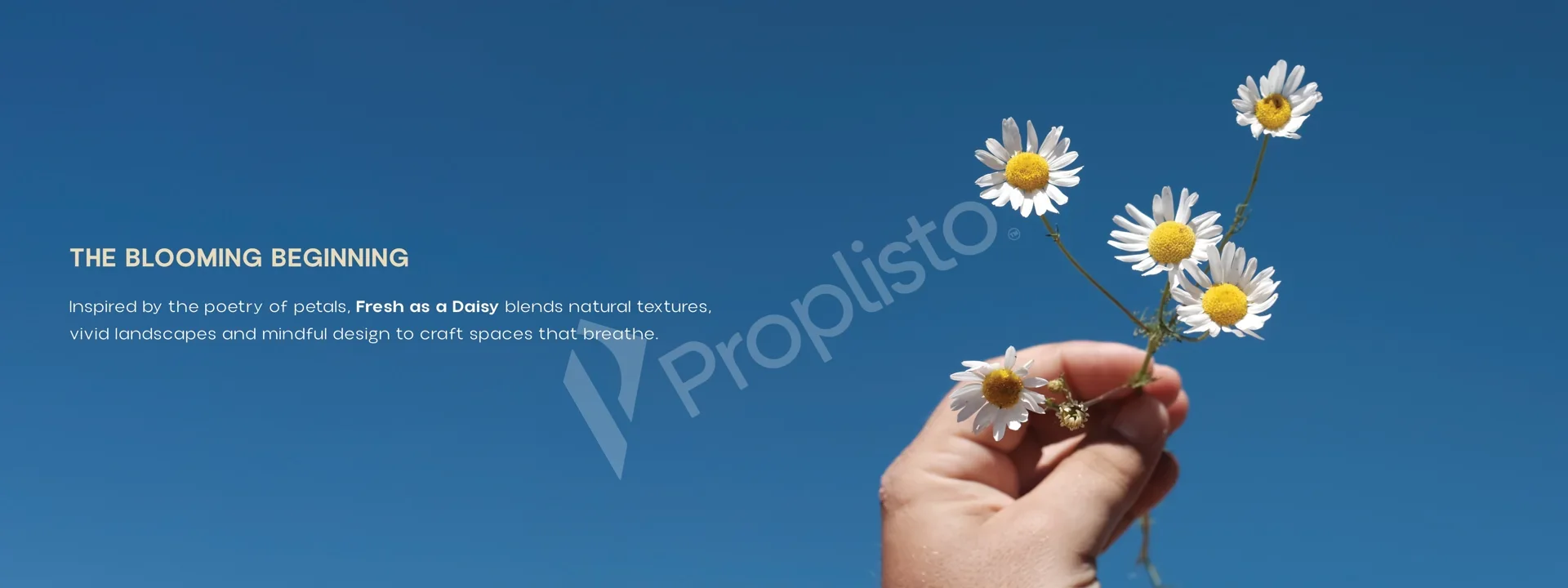 Fresh as a Daisy By HNG , Off Yelahanka New Town, North Bangalore.