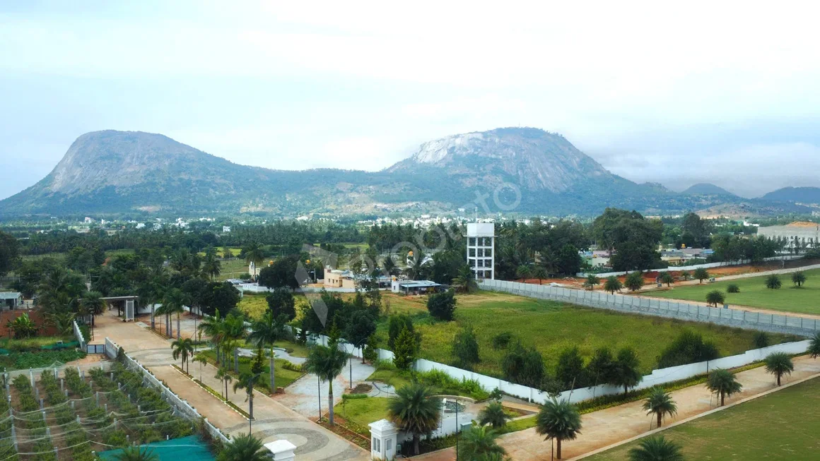Montira by Rare Earth, Nandi Hills, North Bangalore.