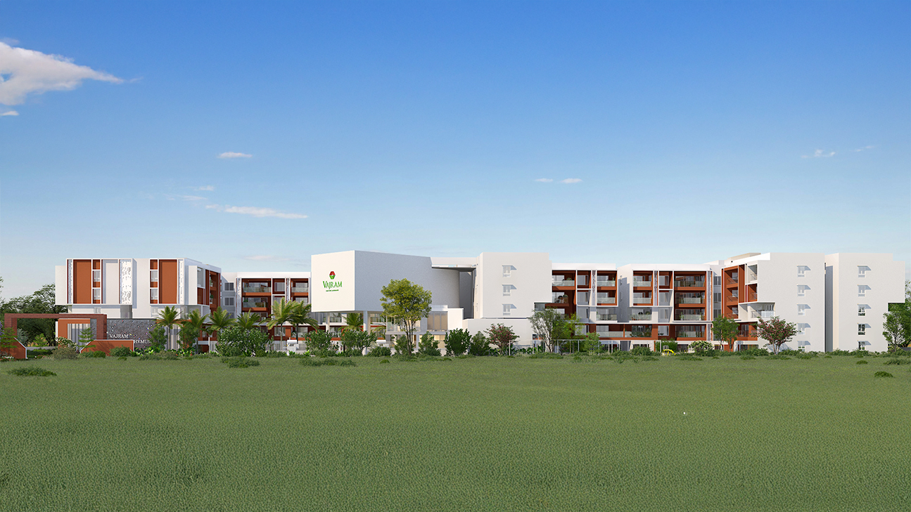 Vajram Chrysanthemum, Yelahanka North Bangalore,