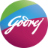 Developer Logo